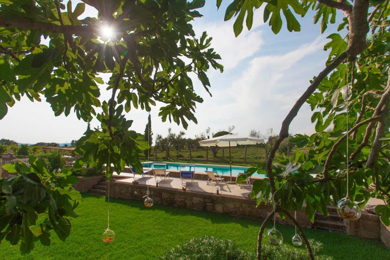 Ficolivo Bed and Breakfast Pitigliano Buitenkant foto